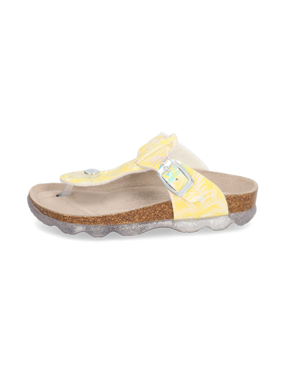 Jellies