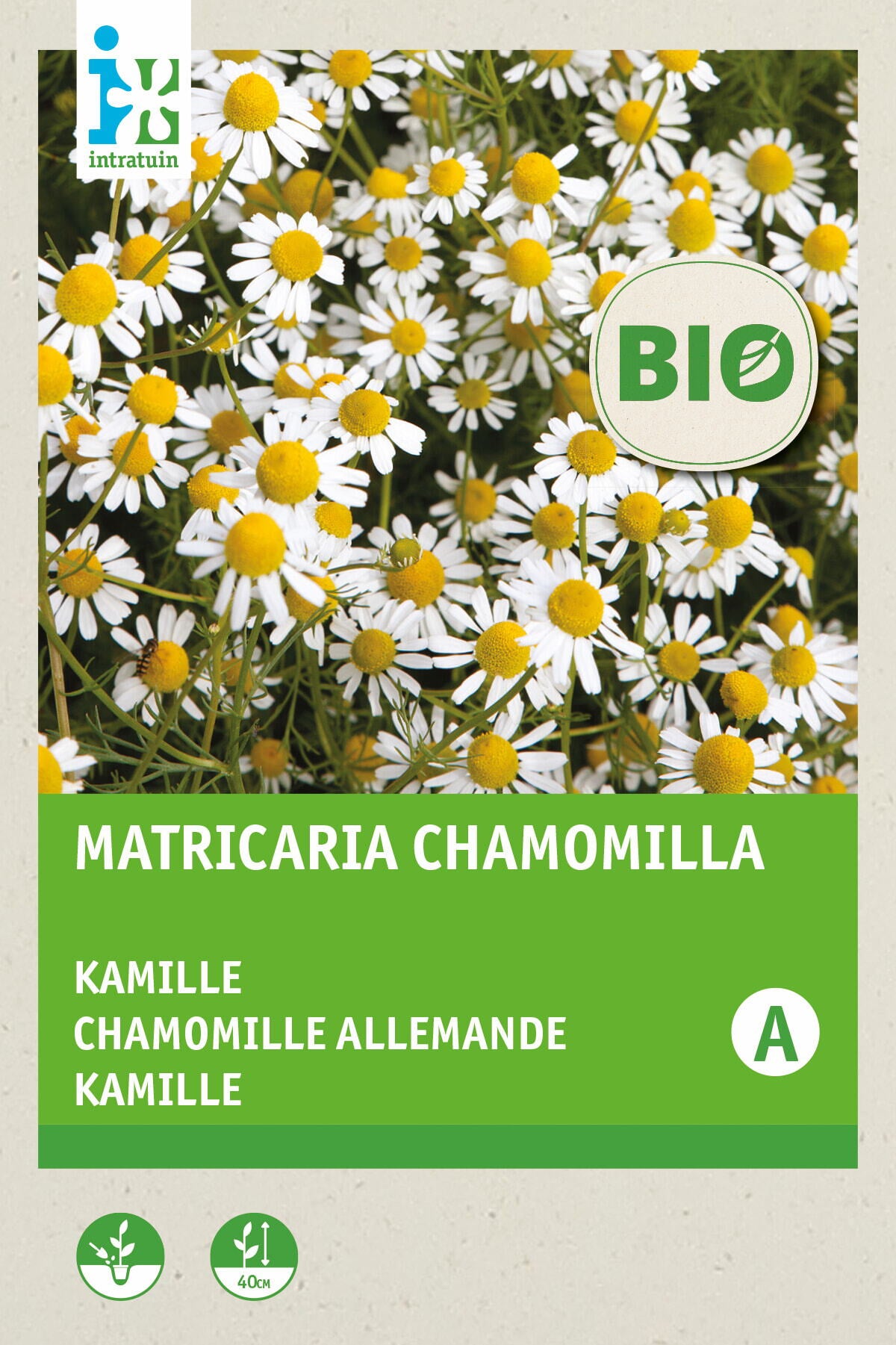Intratuin biologische kruidenzaad Kamille (Matricaria chamomilla)