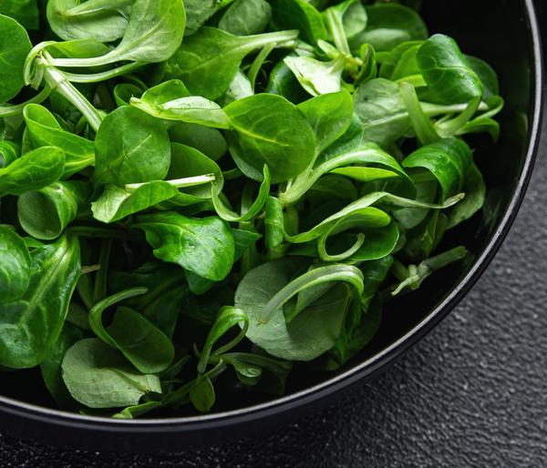 Dehner Bio-Saatgut Feldsalat 'Vit'
