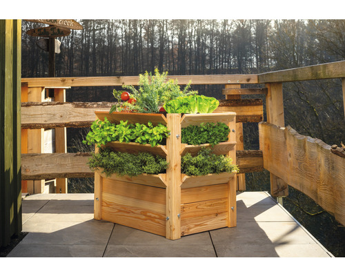 Klassieke verhoogde tuinbak WESTMANN Premium maat XL 90 x 65 x 73 cm naturel