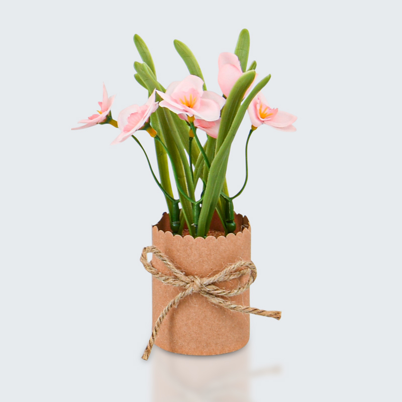 Jonquilles en pot roses