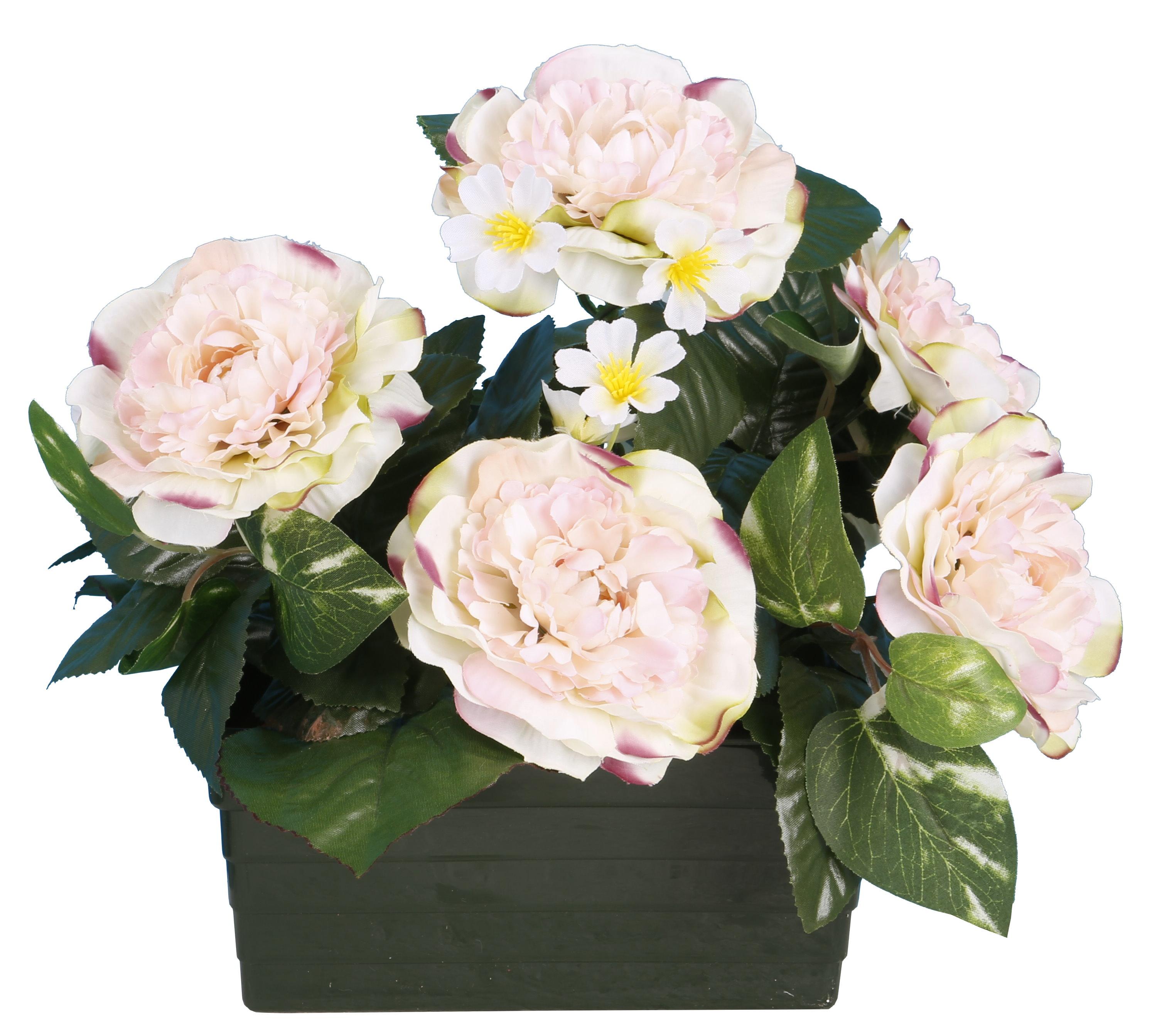 JARDINIERE CAMELIAS