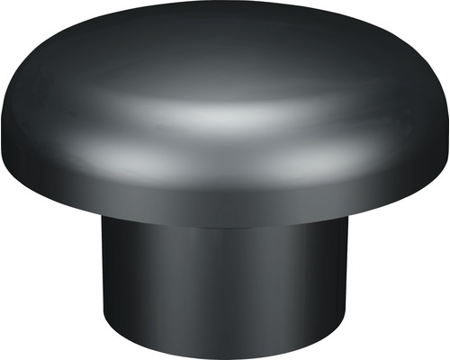 Ontluchter DN 100