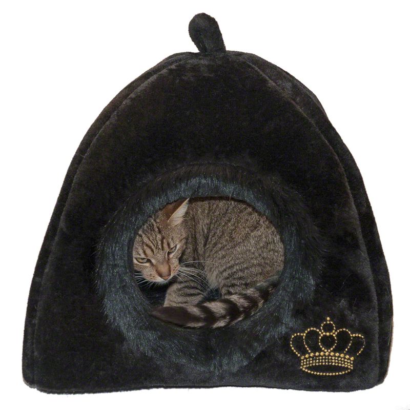 Niche Royal Pet Black
