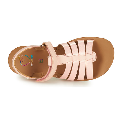 Shoo Pom - GOA SPART - Rose