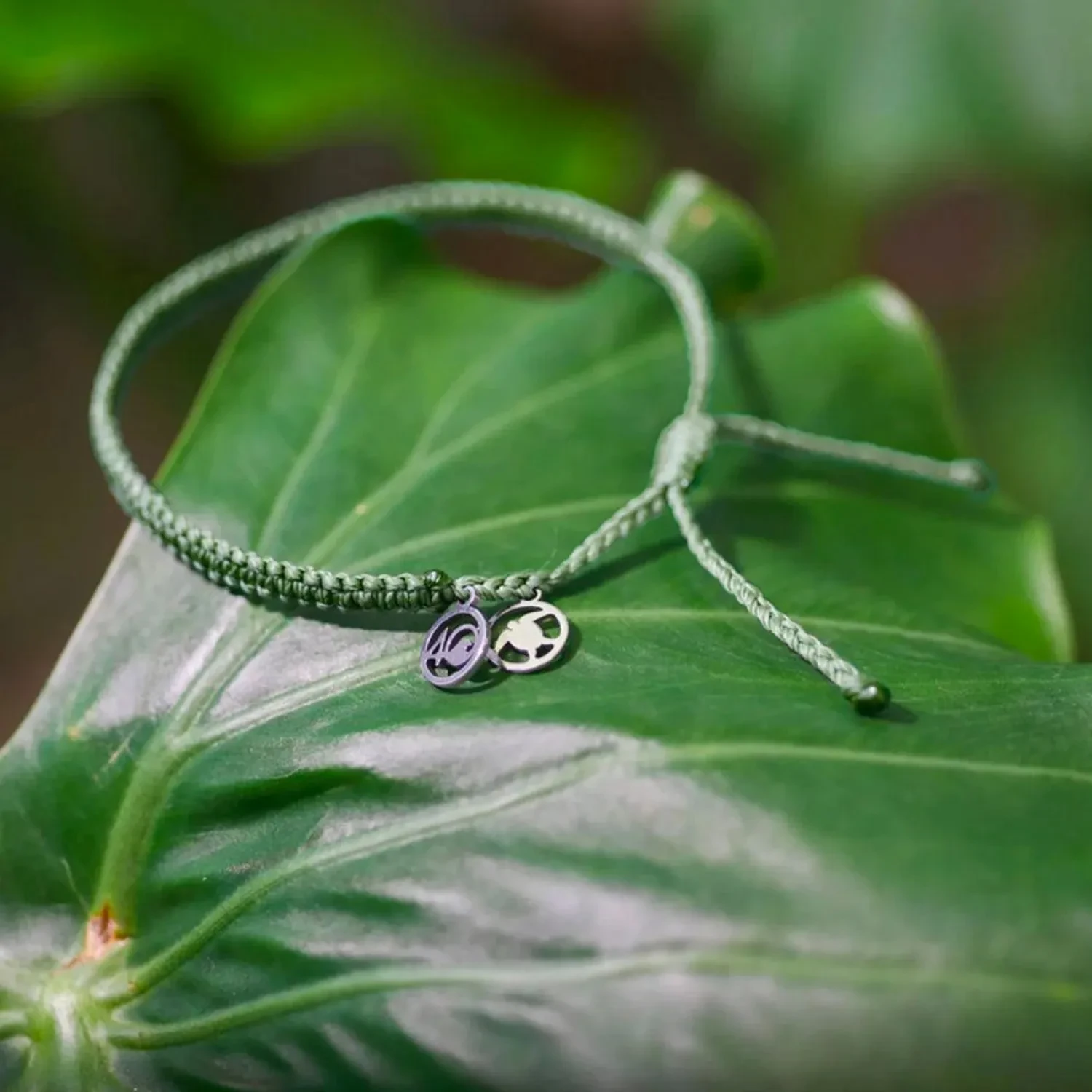 4Ocean Loggerhead Sea Turtle Braided Armbånd Nylon 253000