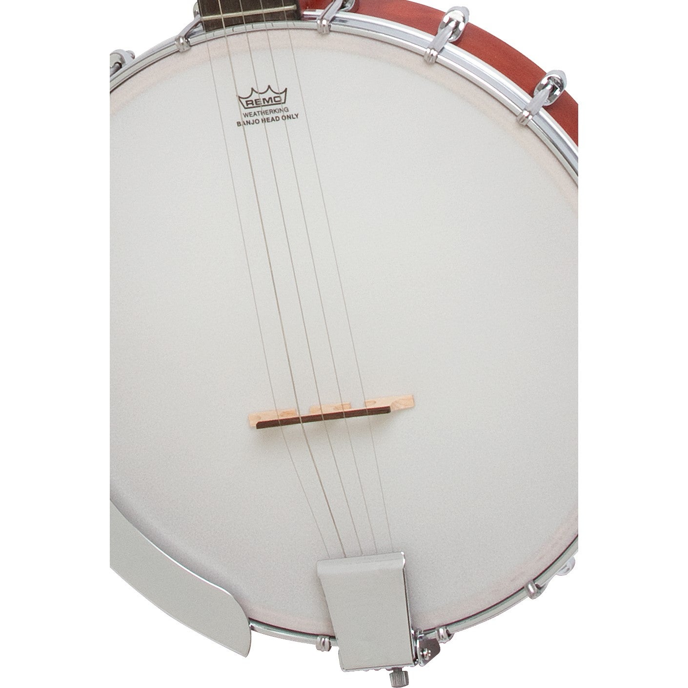 Epiphone MB-100 Banjo Natural 5-snarige banjo