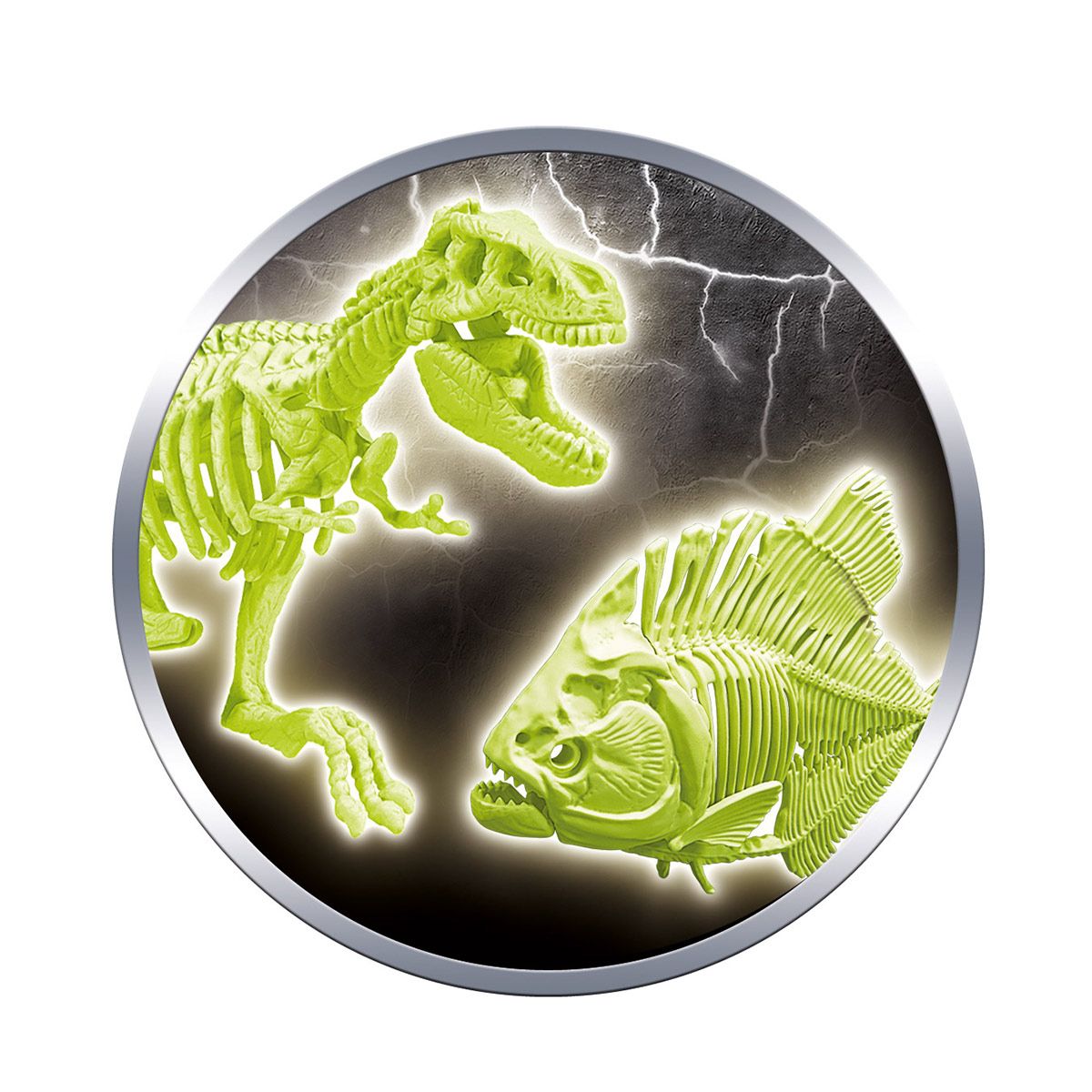 Archéo ludic' T-Rex et Piranha