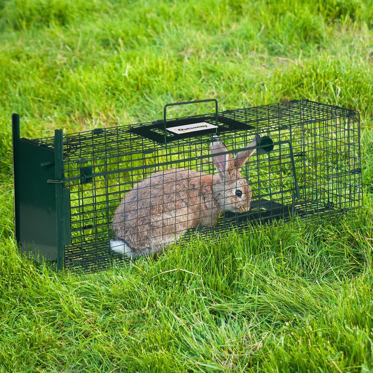 Outsunny livetrap, marterval met deur en handvat, 60 x 18 x 20 cm, staal, donkergroen