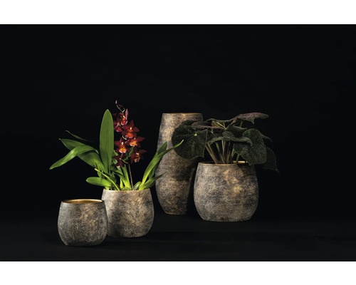 Binnenpot Passie voor Aardewerk Solano Ø 16 cm H 14 cm Klei antiek goud