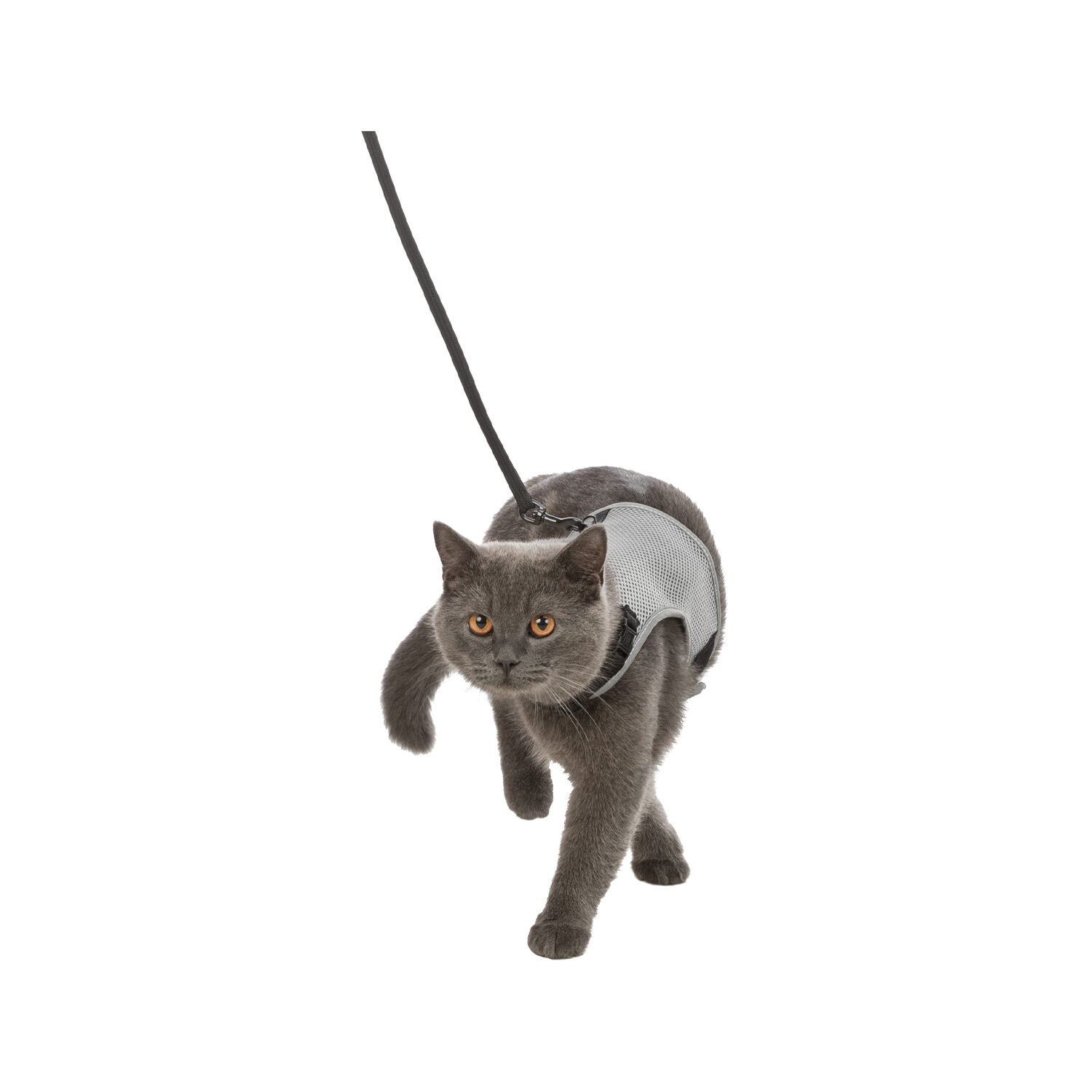 Trixie Soft-Tuig met Riem