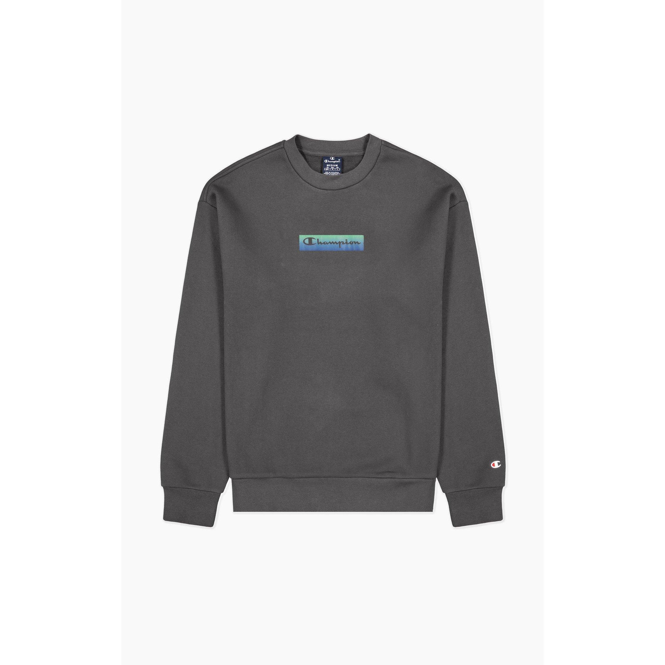 Champion Crwnck Swtr Sn99