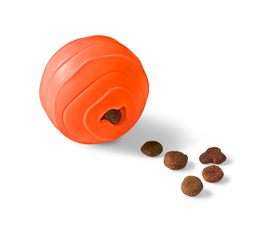 Hundespielzeug »Snackball«