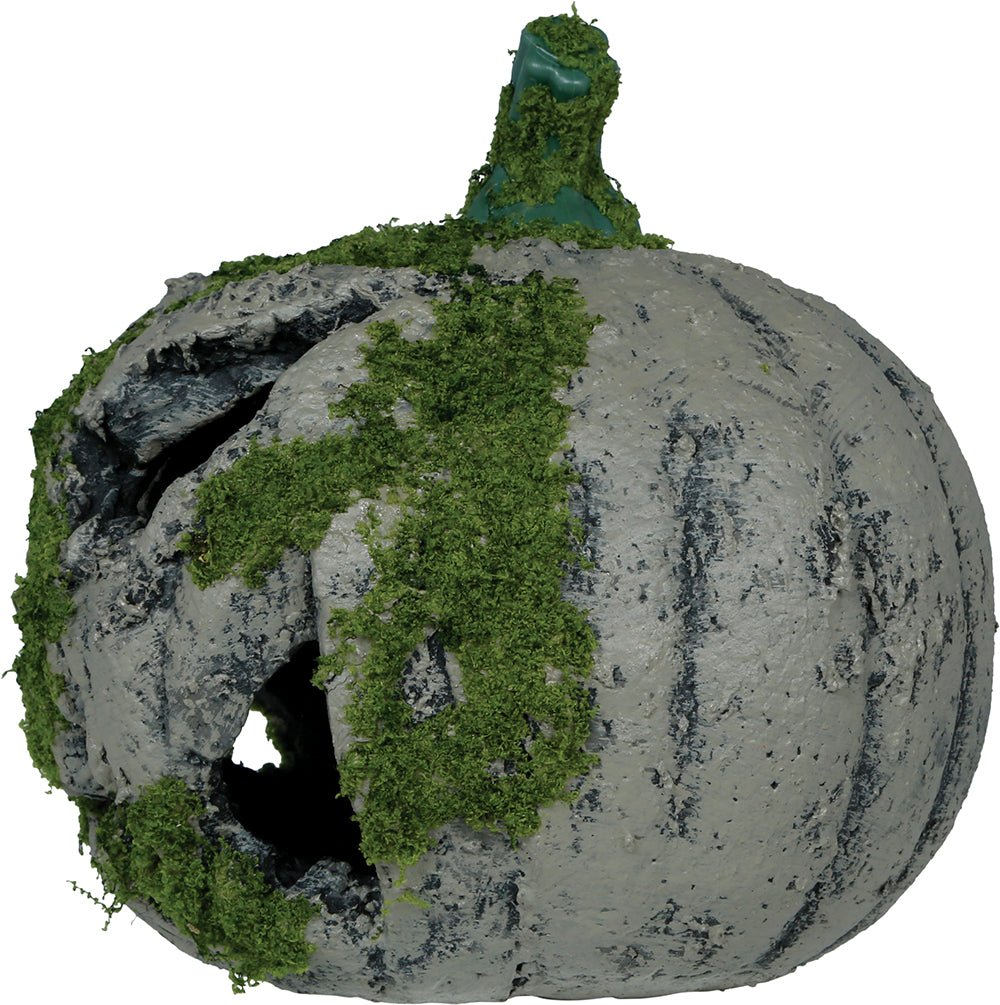 Halloween Pompoen Mos Met Licht 20cm