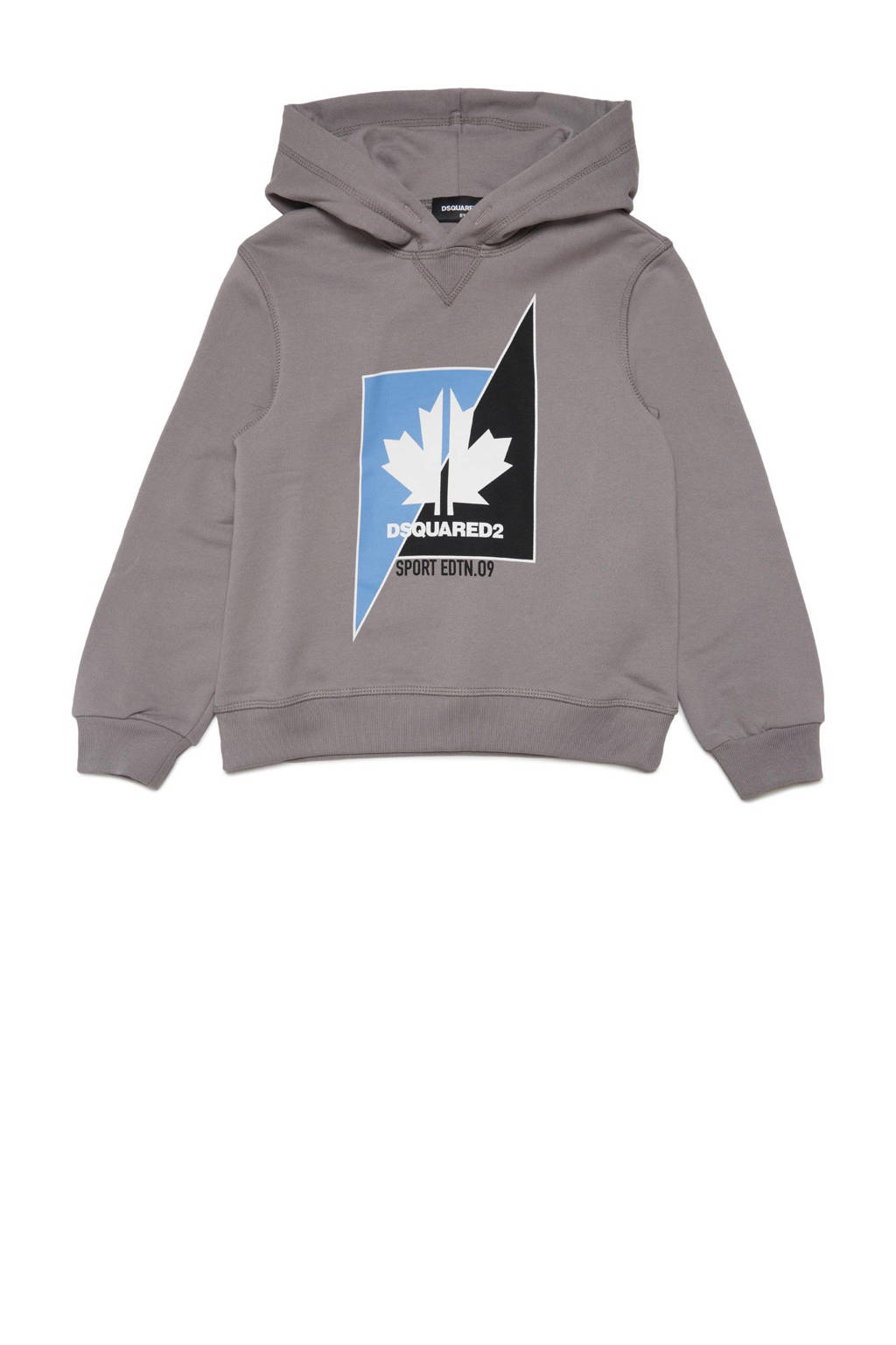 Dsquared2 sweater FELPA met printopdruk grijs