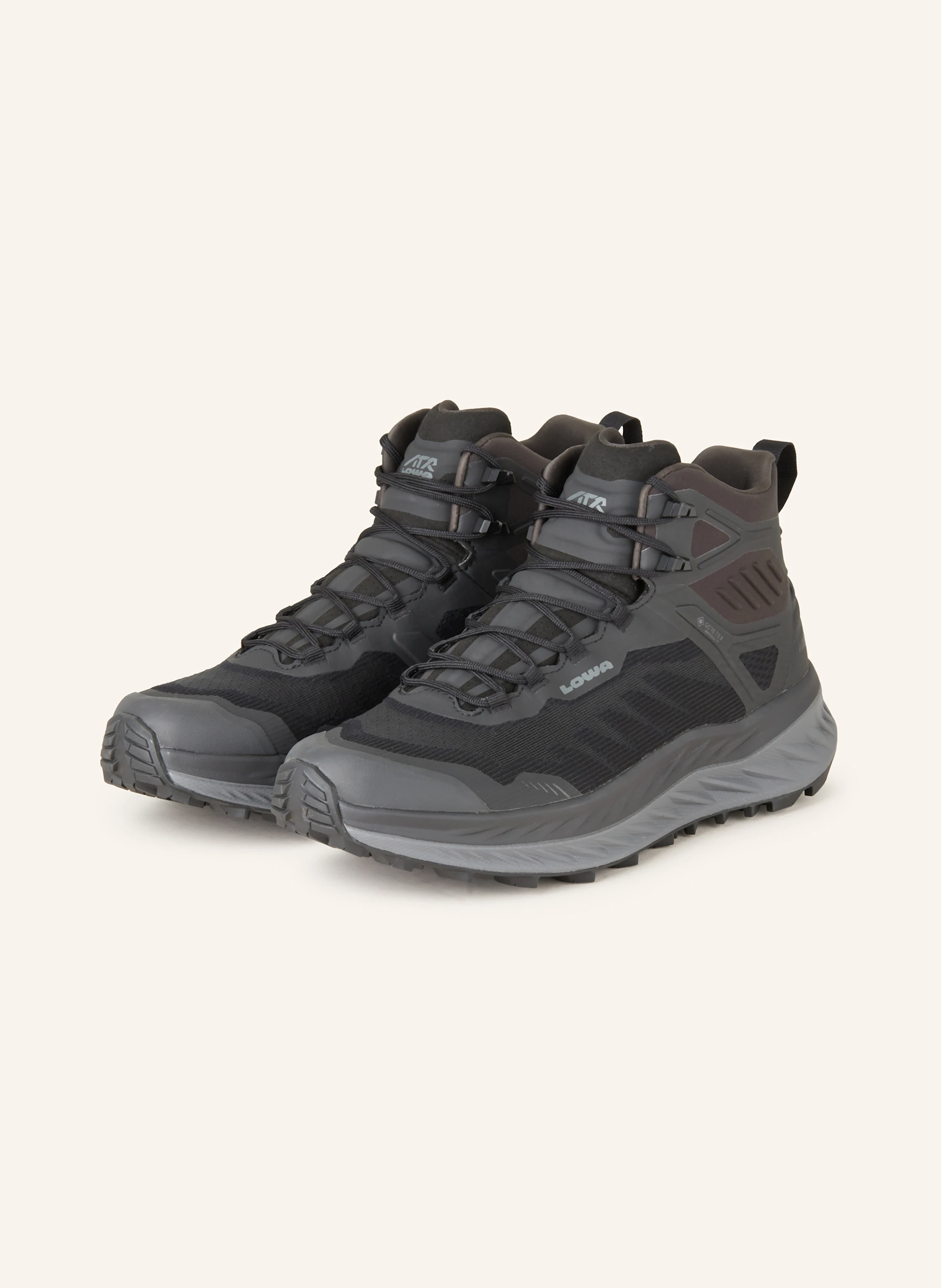 LOWA Wanderschuhe RENEGADE EVO ICE GTX
