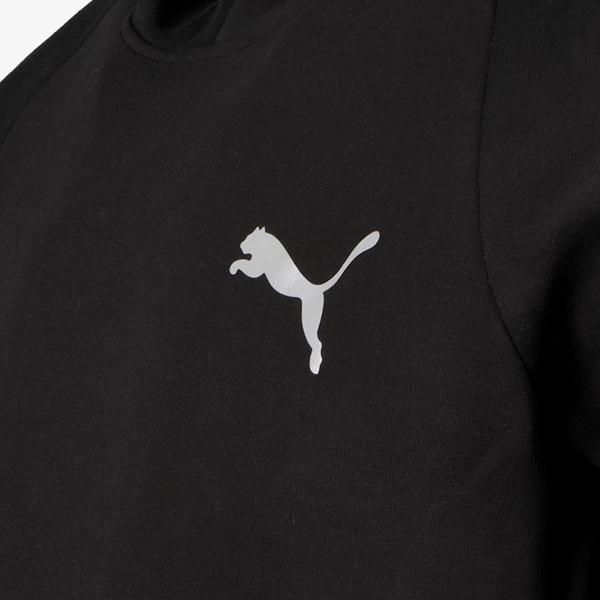 Puma Evostripe heren hoodie zwart
