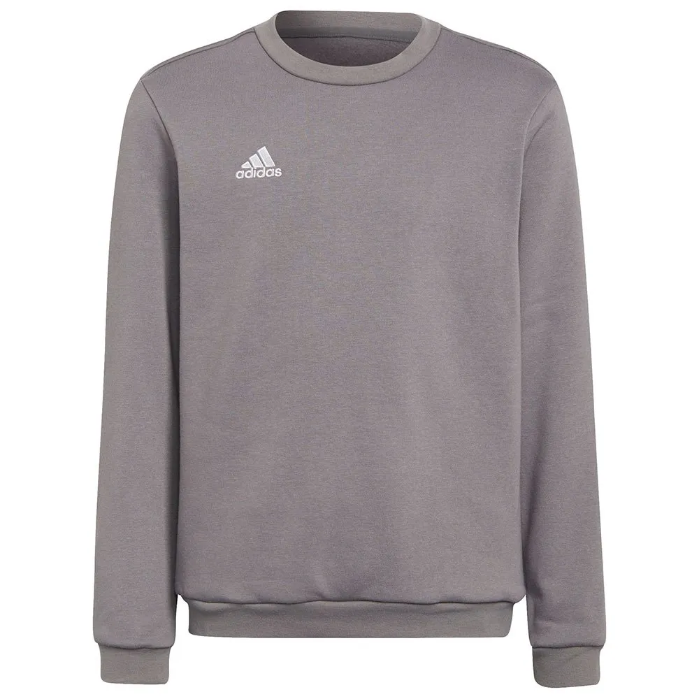 Moletom adidas Entrada 22 Stadium SW