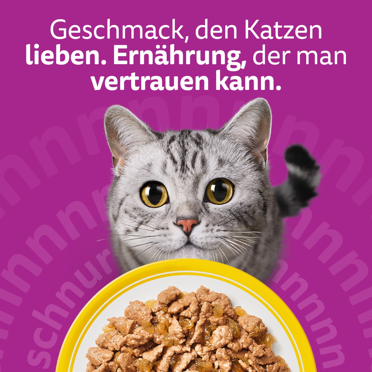Whiskas ® Multipack Portionsbeutel 1+ Geflügel Auswahl 4 Varietäten Huhn, Ente, Geflügel, Truthahn in Gelee 80 x 85g