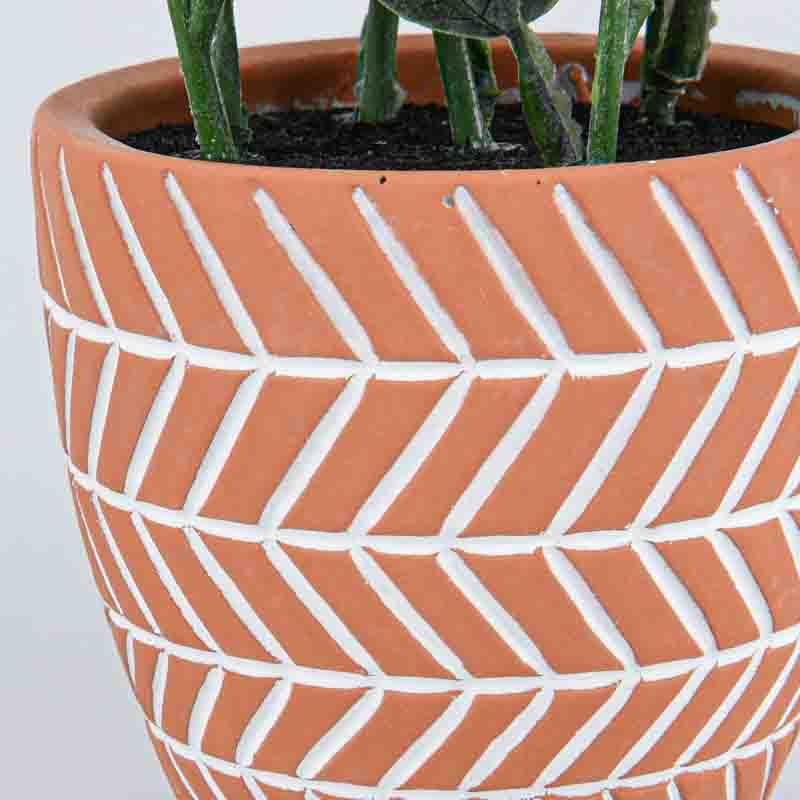 Herbes en pot