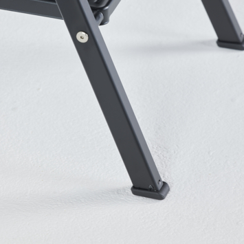 Altrex Giant huishoudtrap zwart 2 treden