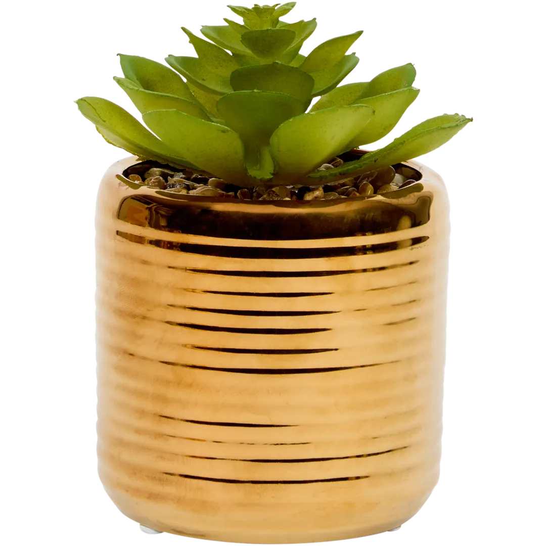 Kunstvetplant in pot Diverse varianten