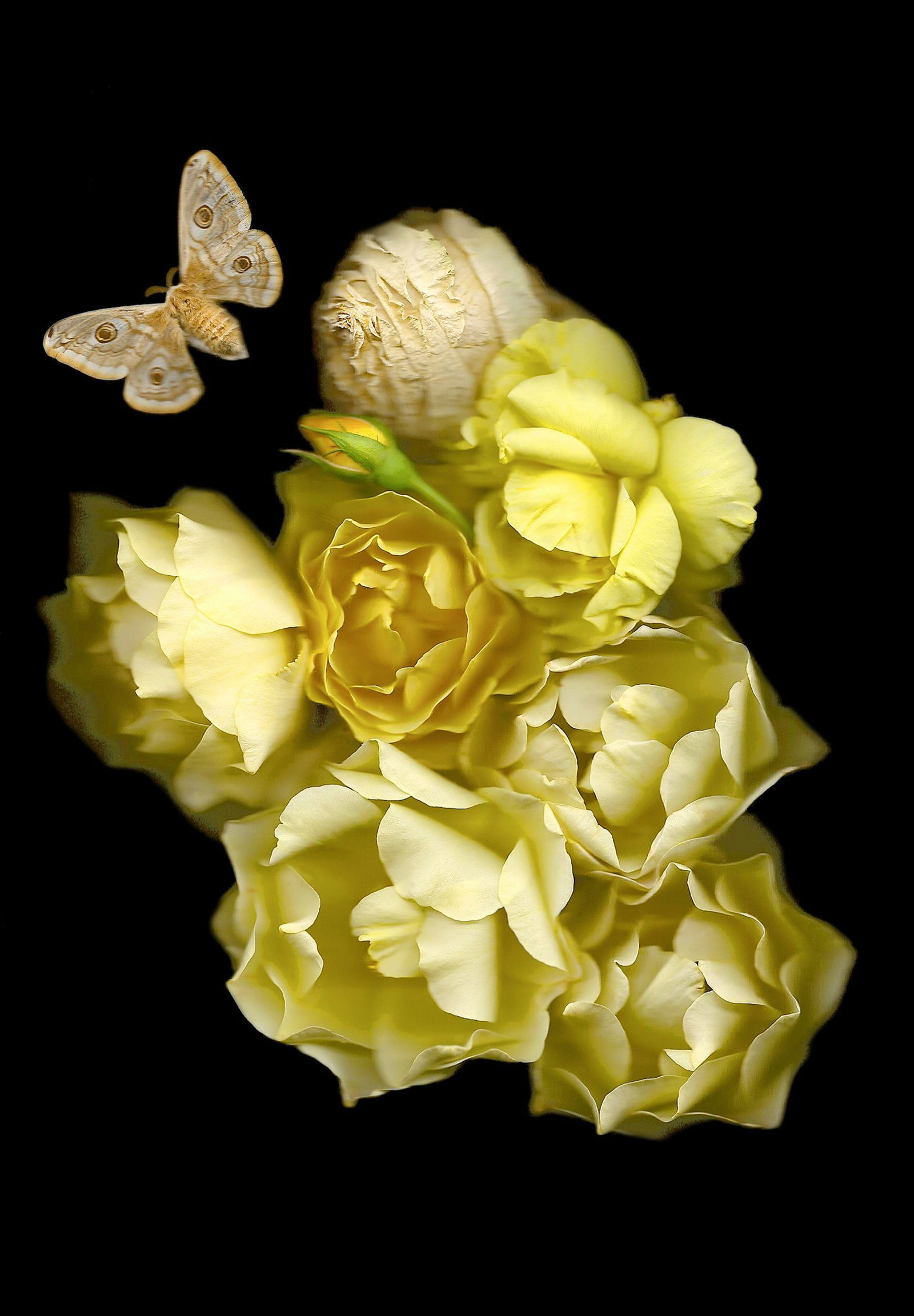 Vanitas IX by Annet van der Voort - Limited Edition. Edition of: 150. Signed.