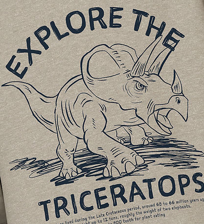 Name It Sweatshirt - NmmVion - Reines Kaschmir/Triceratops