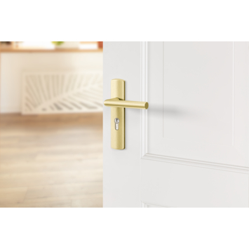 AXA deurkrukset Curve Milan goud blindschild sleutelgat PC55