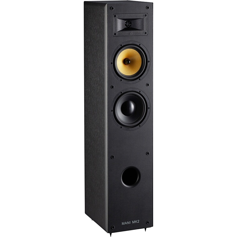 Enceinte colonne Davis Mani MK2 Noir (vendue a l'unité)