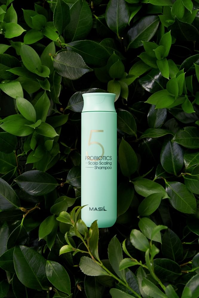 MASIL - 5 Probiotica Hoofdhuidschilferende Shampoo Mini
