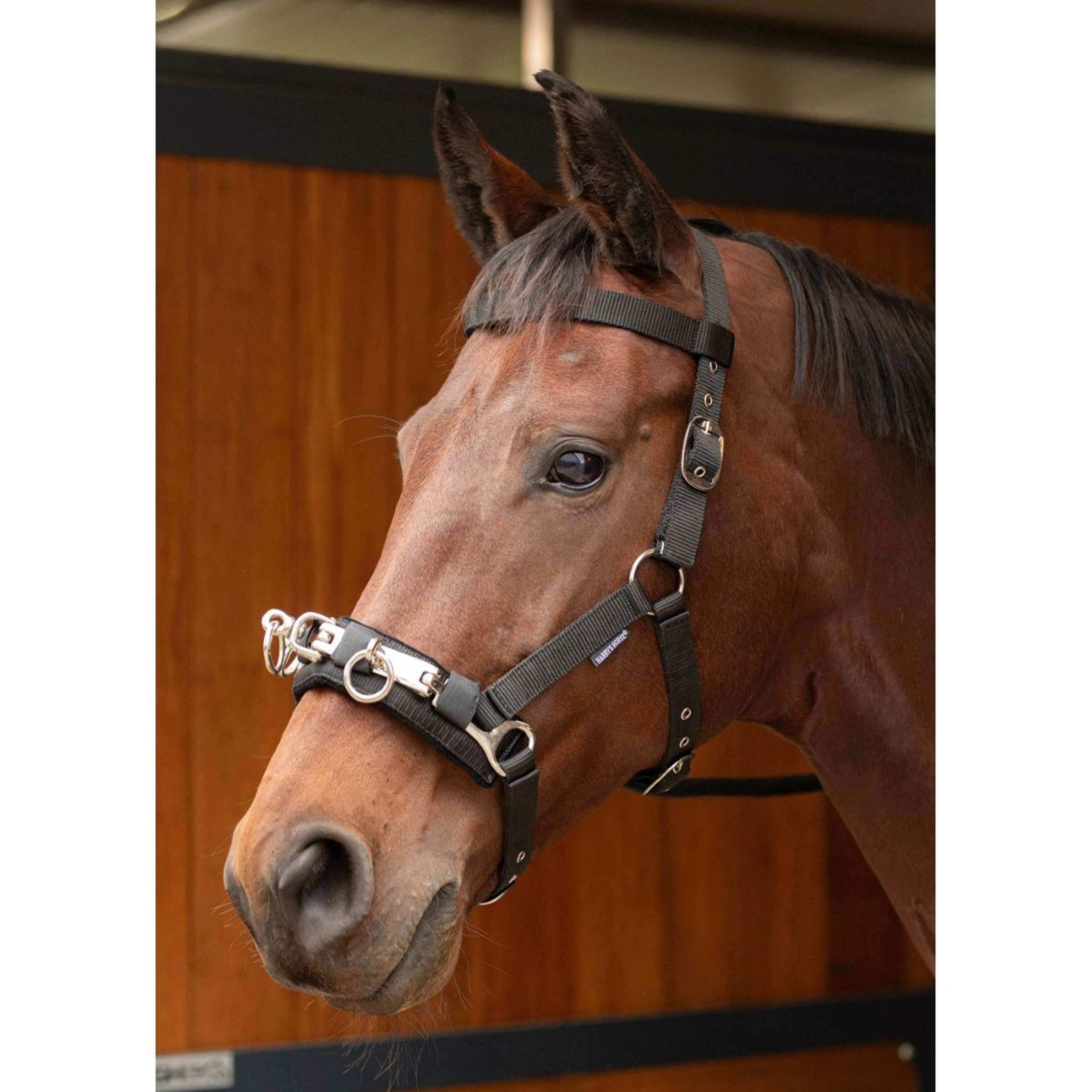 Harry's Horse Kaptoom Zwart
