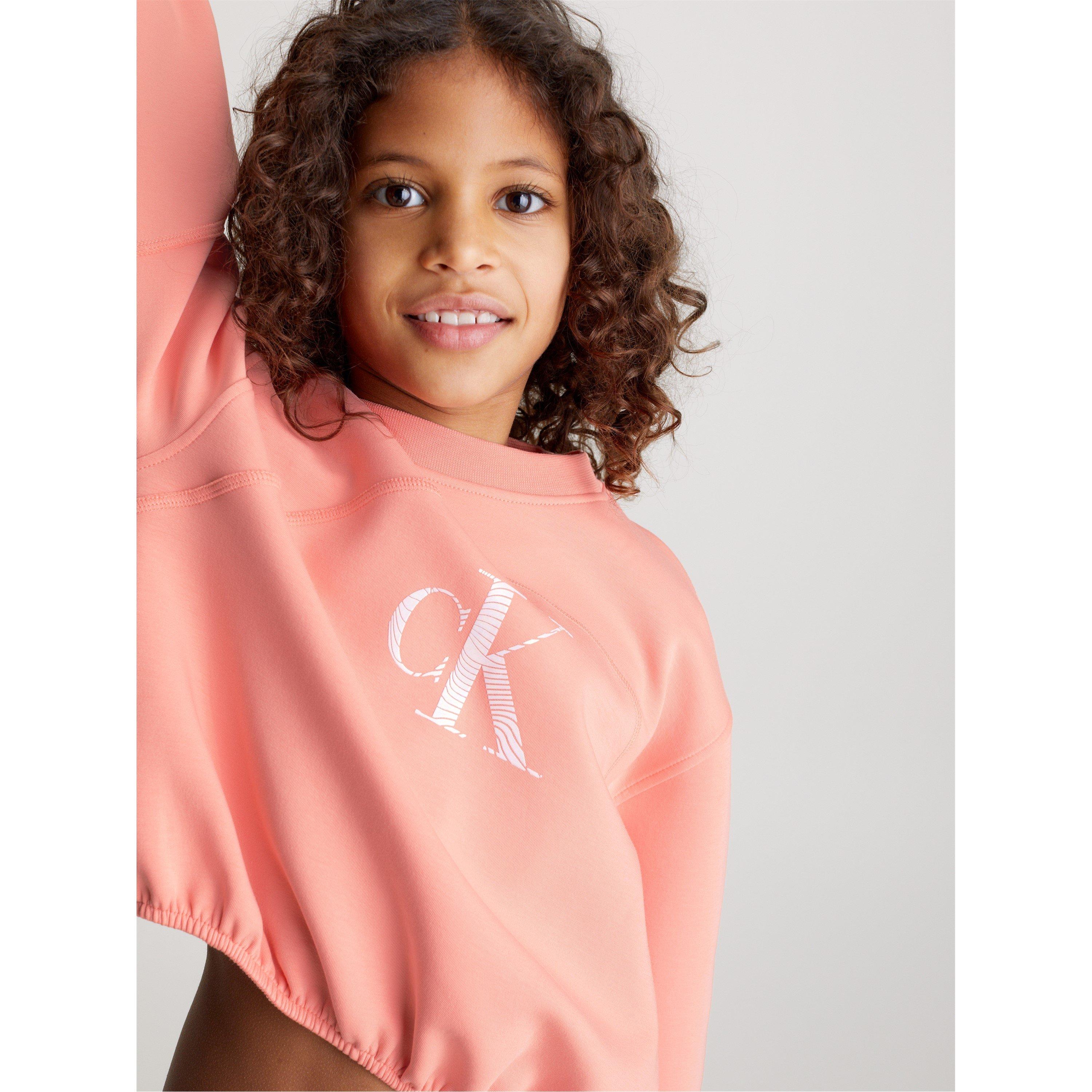 Calvin Klein Jeans Logo Crew Sweater Juniors