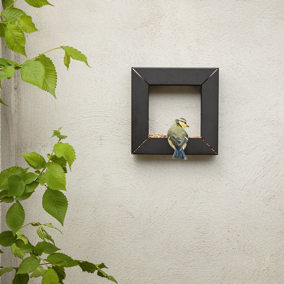 Frame Fuglemater