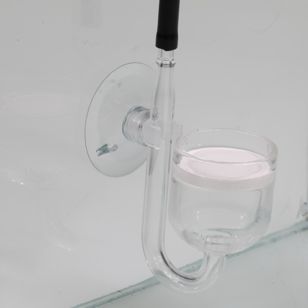 JBL Proflora Co2 Taifun Glass Midi