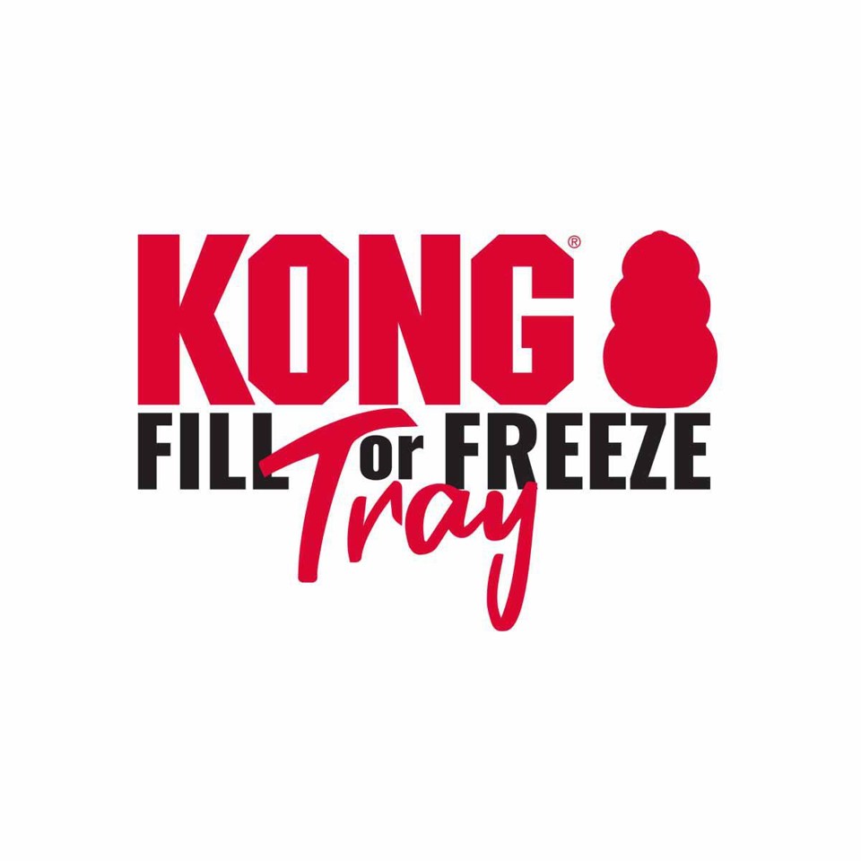 KONG - Kong Fill Or Freeze Tray 35X13,5X7Cm