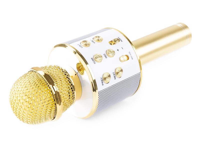 MAX Mikrofon KM01G Gold Karaoke Mikrofon mit eingebautem Lautsprecher