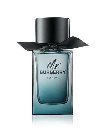Burberry Mr. Burberry Element edt vapo 100ml