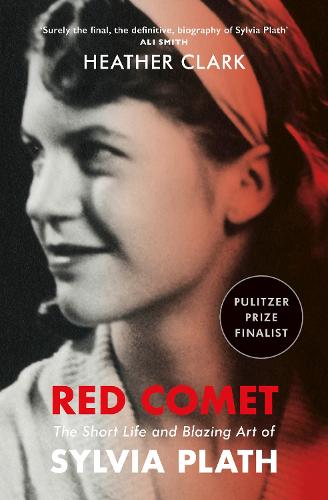 Red Comet (Paperback)