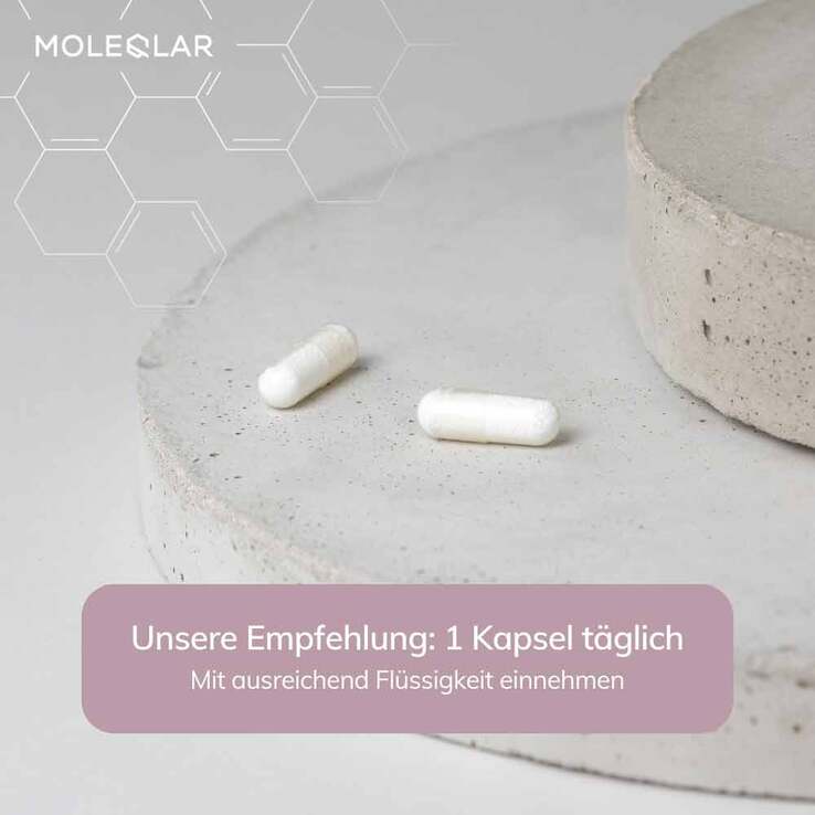 Moleqlar Longevity Hyaluron + Glycin Kapseln, 60 St
