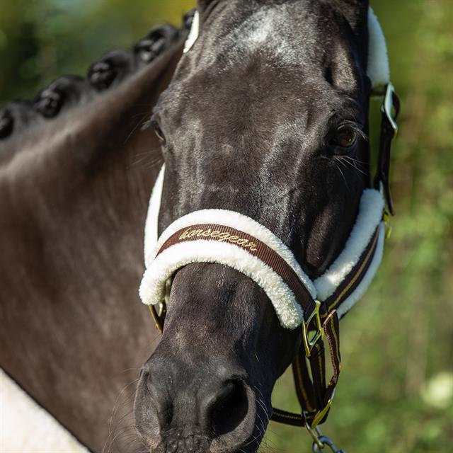 Halster HORSEGEAR HGLyx Donkerbruin