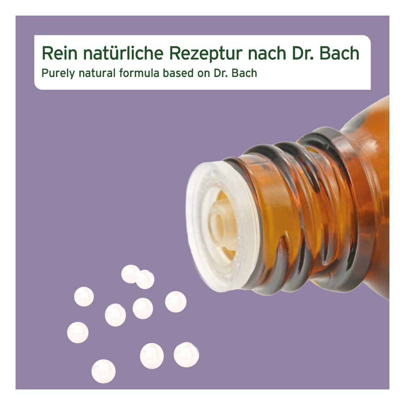 AniForte Bachblüten No. 31 Vervain
