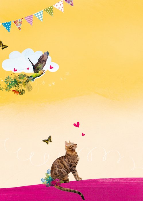 Twee katten samen