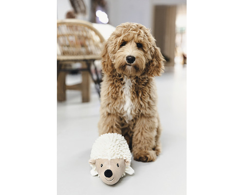 Beeztees Eco Toy Egel Ittie Hondenspeelgoed, 26 x 14 x 15 cm, beige, 100% gerecycled materiaal