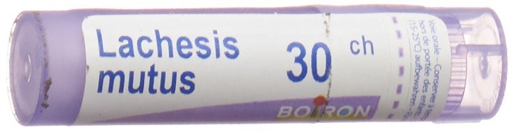 Boiron Lachesis mutus Gran 30 CH 4 g