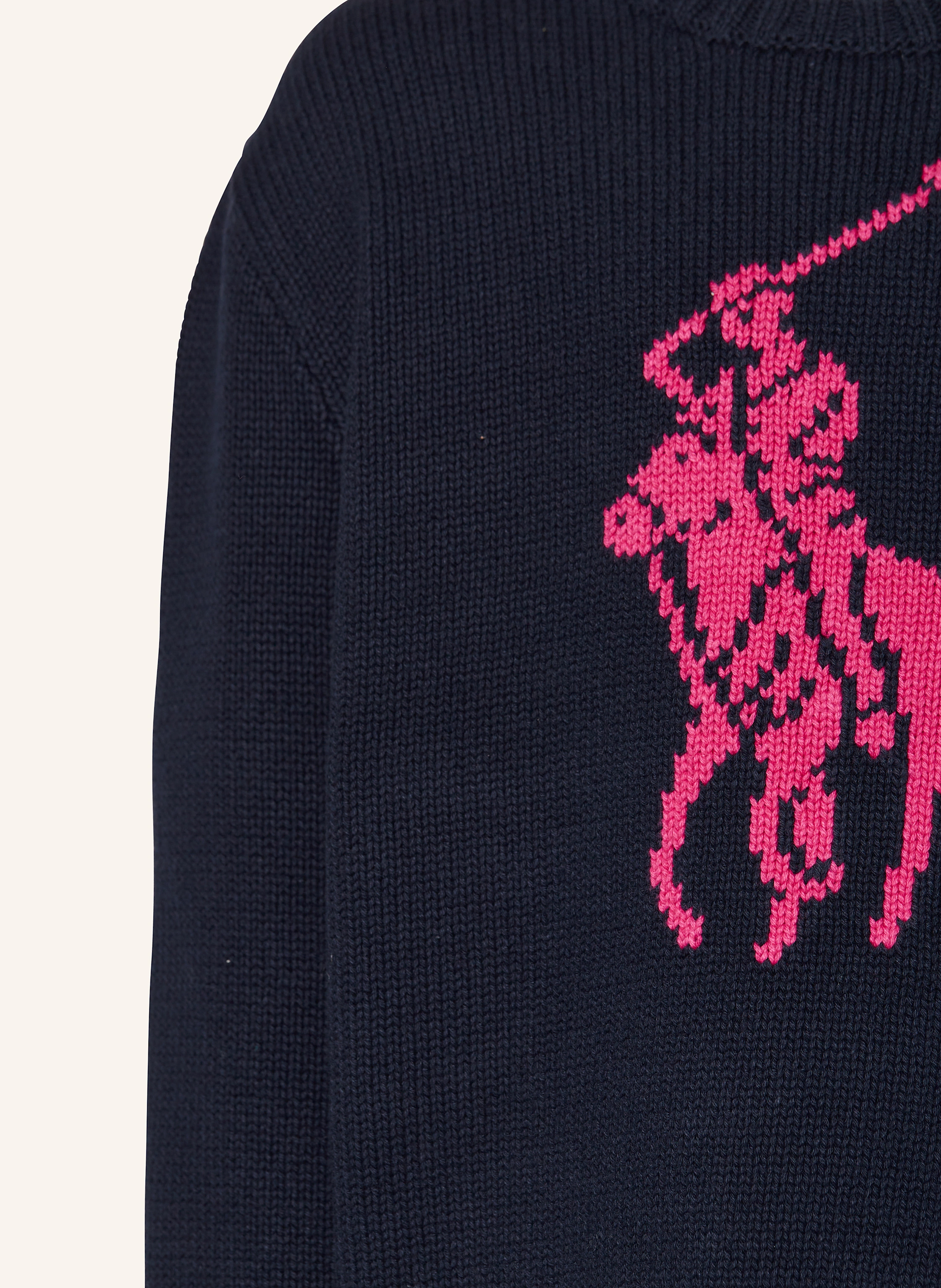 POLO RALPH LAUREN Pullover