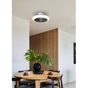Eglo plafondventilator Sayulita met lamp 21W wit