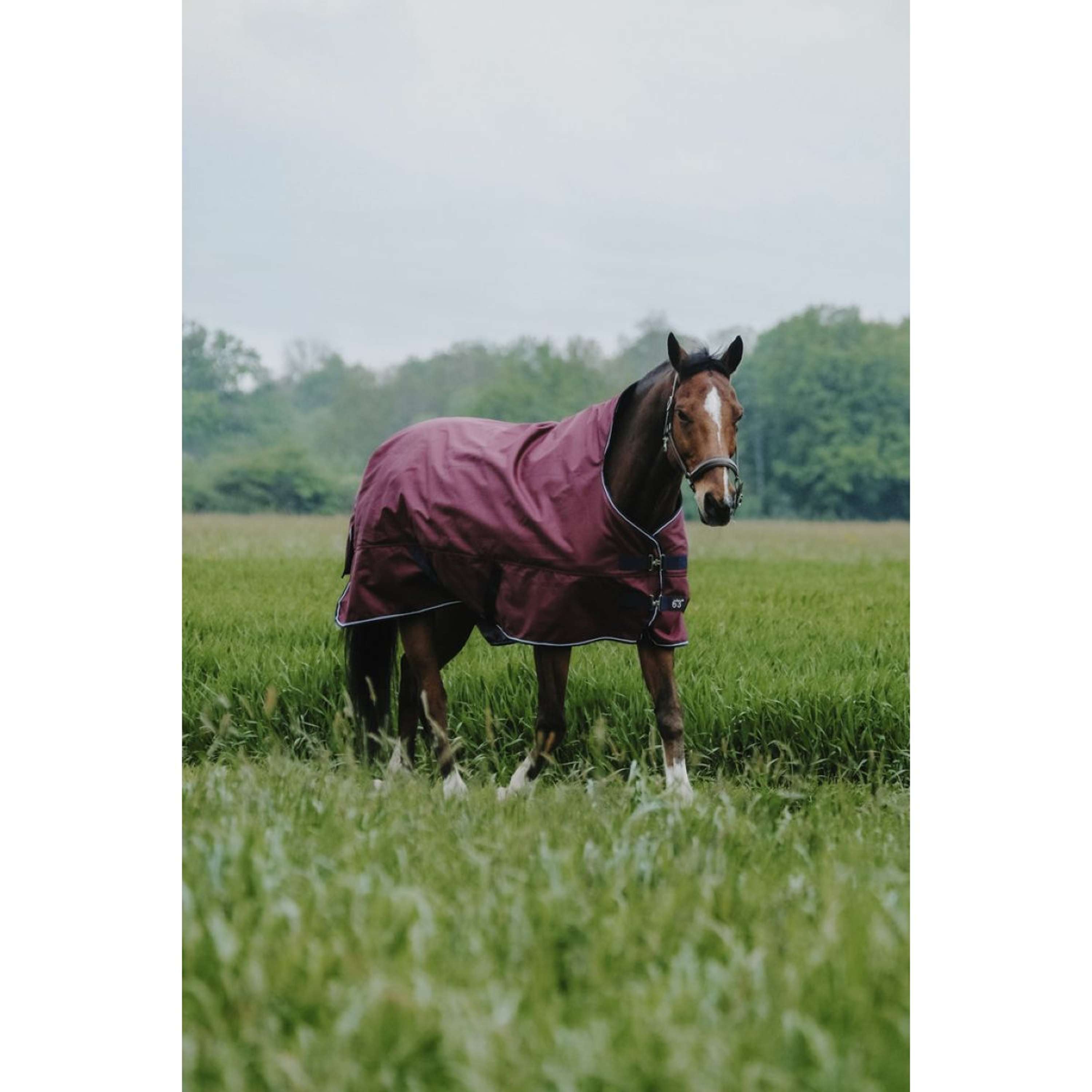 EQUITHÈME Outdoordeken Tyrex 1200D 150g High Neck Burgundy