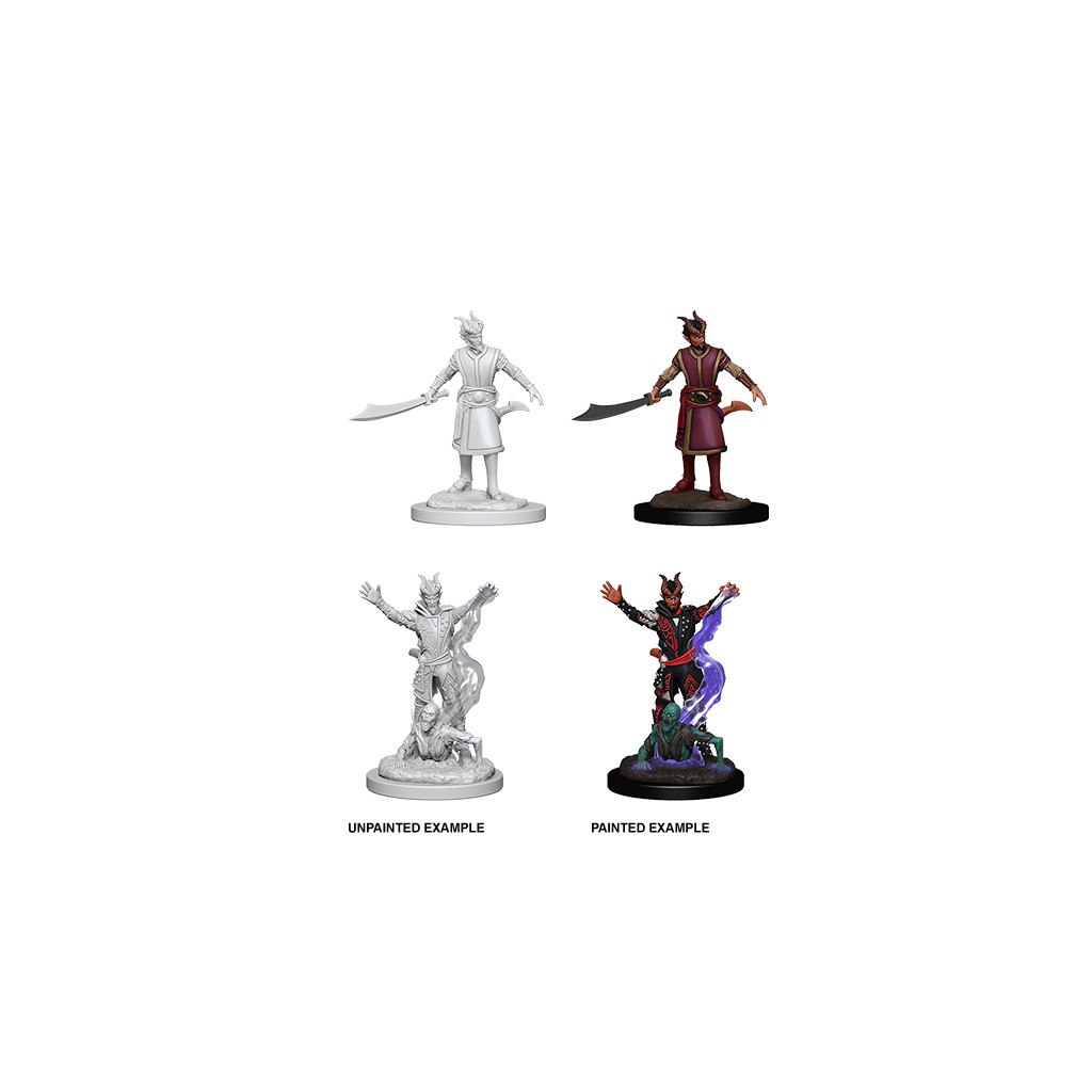 D&D Nolzur's Marvelous Unpainted Miniatures: Male Tiefling Warlock