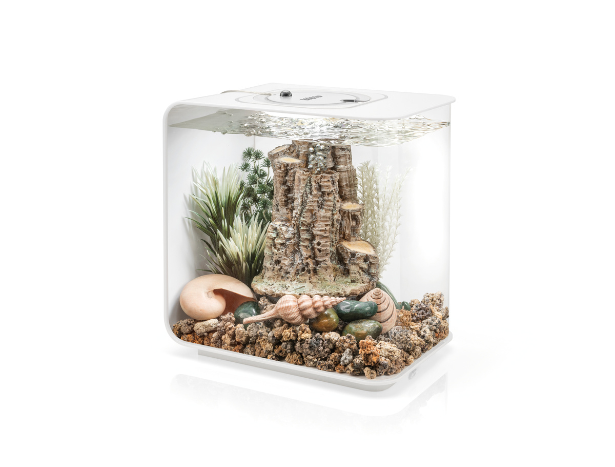 BiOrb Forest Rythym decor set | alles-in-één decor set